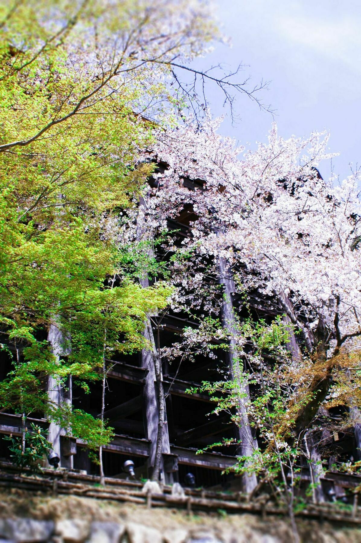Stay Sakura Kyoto Machiya Akari Екстер'єр фото